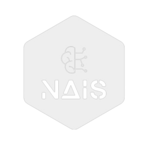 Nzima Software Solutions